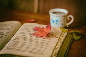 leaves-books-color-coffee-cup-still-life-book